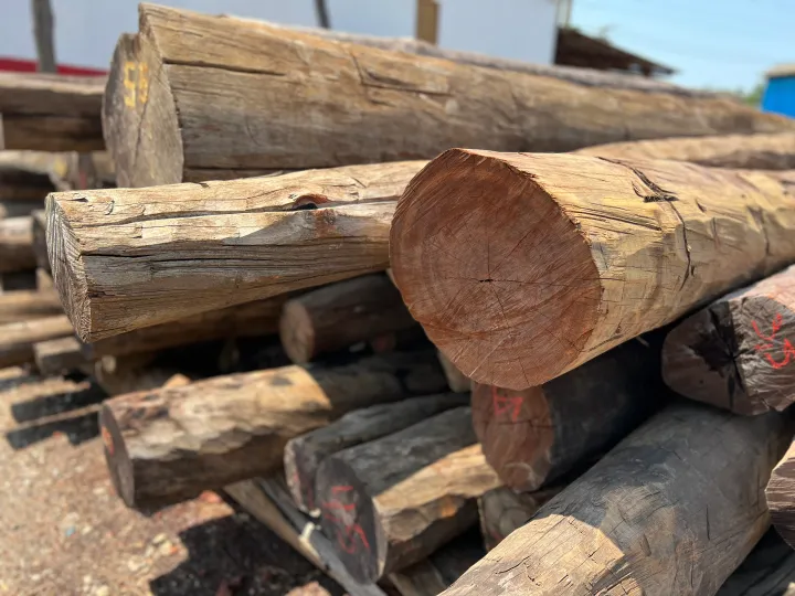 Pilhas de madeira serrada no pátio da Madeireira Pereira